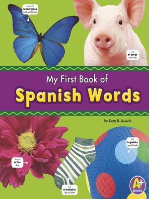 cover image of My First Book of Spanish Words